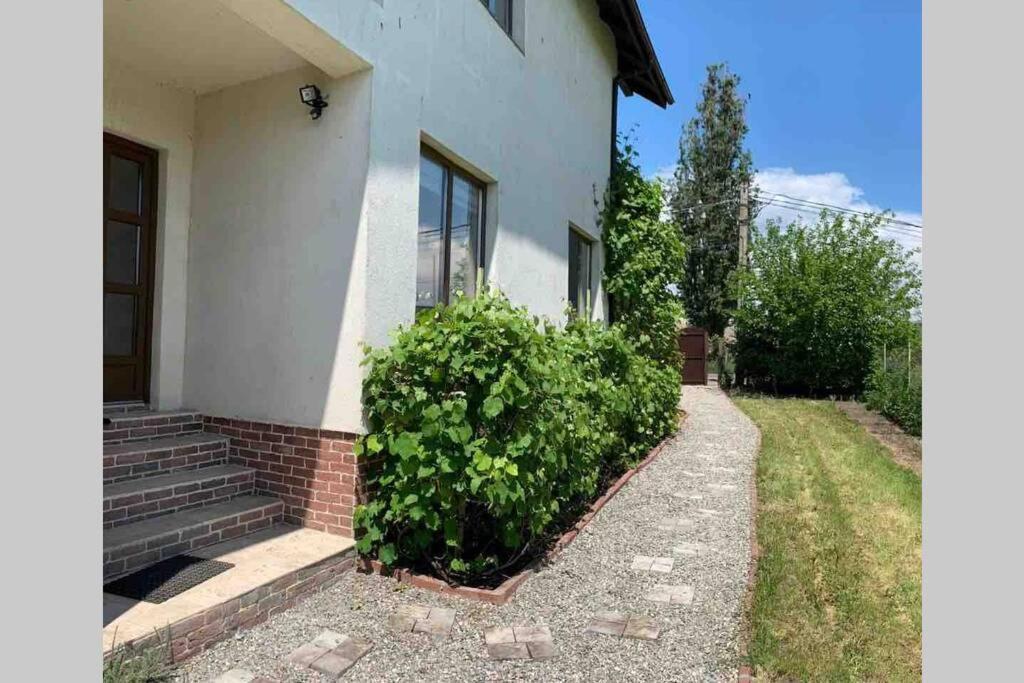 Casa Andreea. Cheerful 4-Bedroom Villa Botfalu Kültér fotó