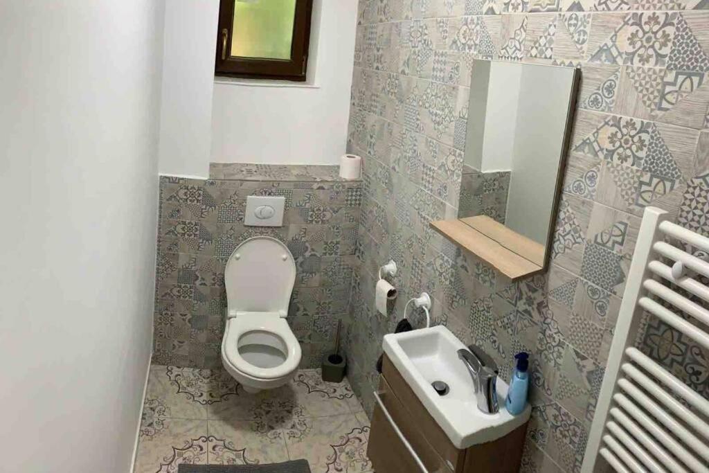 Casa Andreea. Cheerful 4-Bedroom Villa Botfalu Kültér fotó